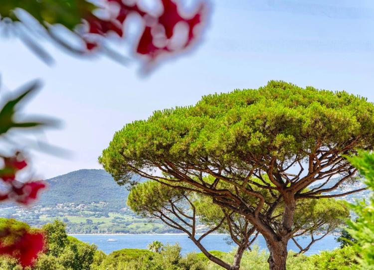 Villa vue mer à vendre à Sinopolis
